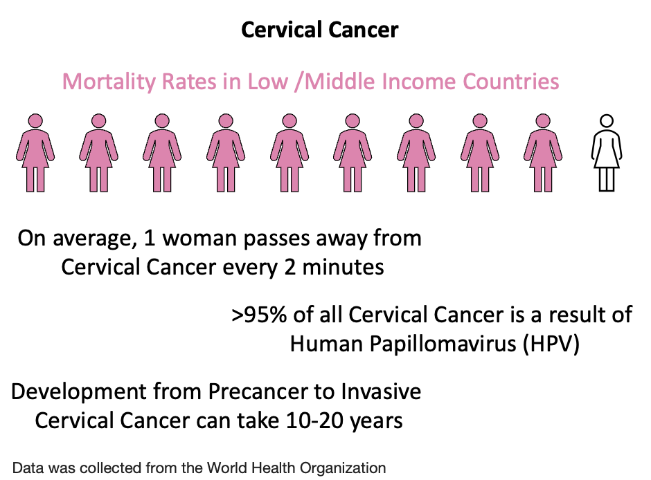 Statistics for Cervical Cancer.